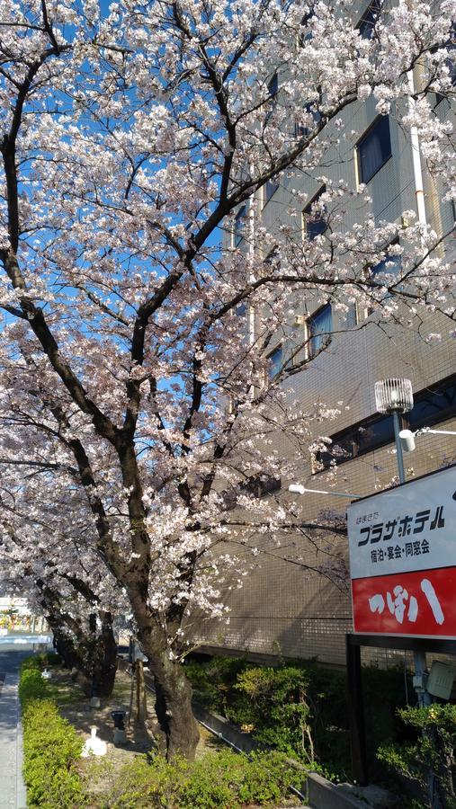 Hamakita Plaza Hotel 浜松市 エクステリア 写真